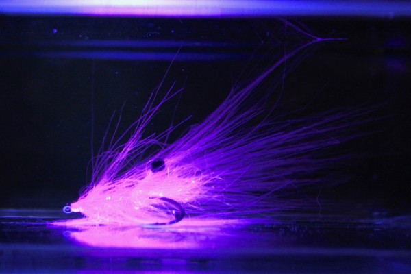 Seatrout Fur Schrimp Magenta Handgebunden Meerforellenfliege Springerfliege