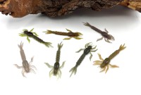 Nays DRGN 35 3.5 Inch Larve Nays DRGN 35 3.5 Inch Larve