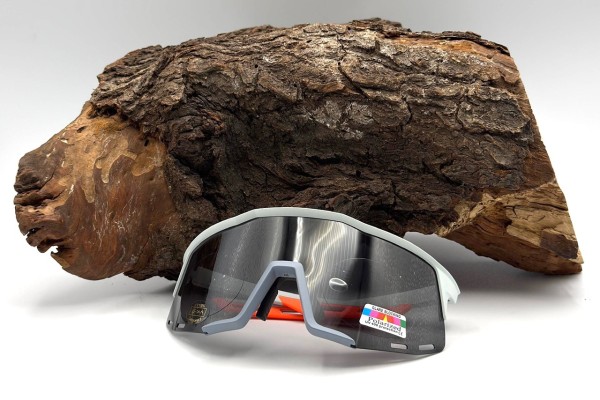 Balzer Polarisationsbrille St. Moritz Sonnenbrille UV400